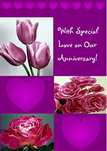 Anniversary ANV309 - Front Cover