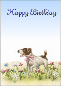 Birthday BD313 - Front Cover