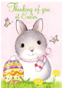 Easter EAS302 - Front Cover
