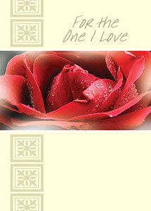 I Love You LUV300 - Front Cover