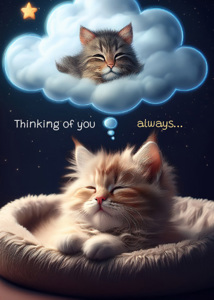 Thinking Of You TOY312 - Front Cover
